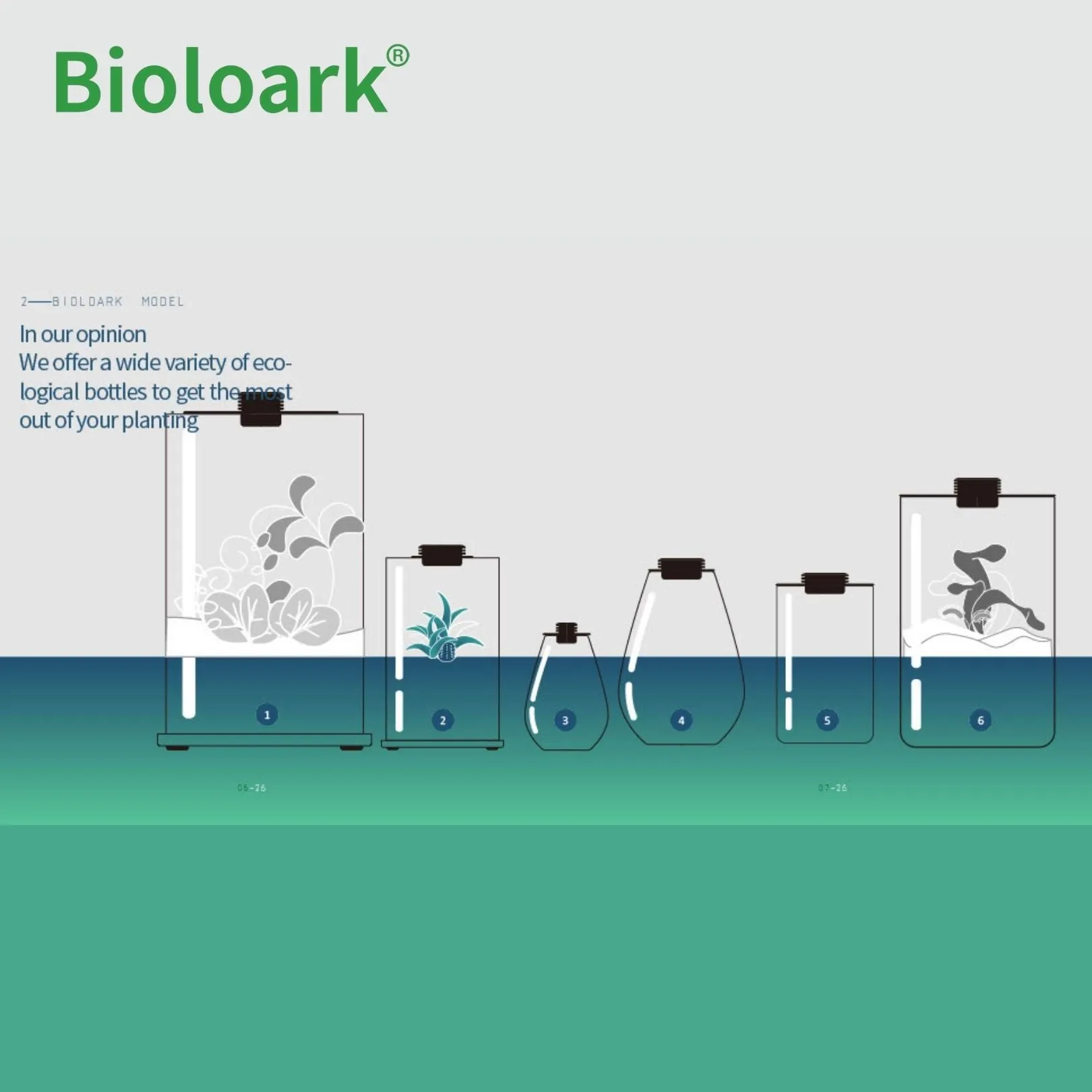 BIOLOARK - Enclosed Terrarium Tank (FD-200 / FD-250)
